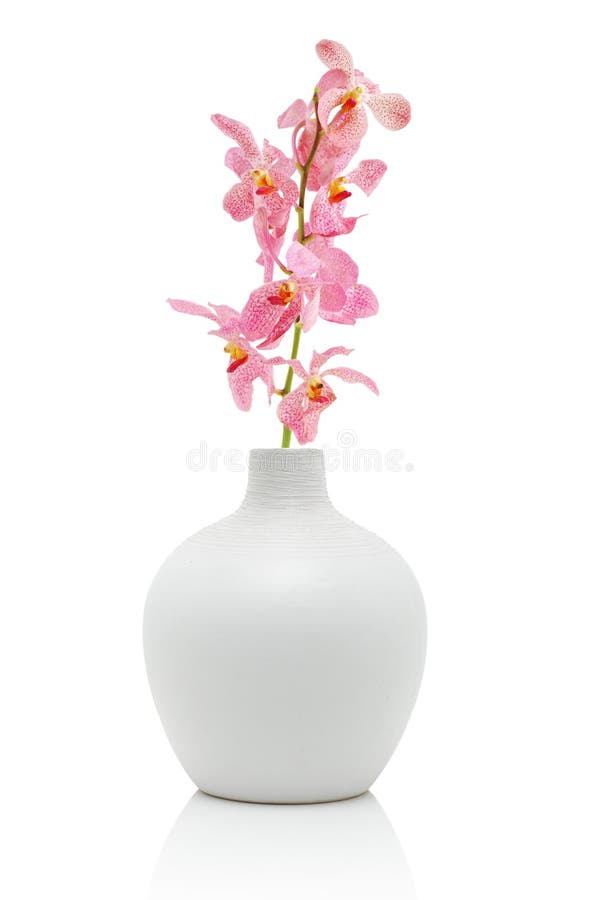 Orquídea cor-de-rosa no vaso branco fotos de stock royalty free Orquídea cor-de-rosa no vaso branco fotos de stock royalty free