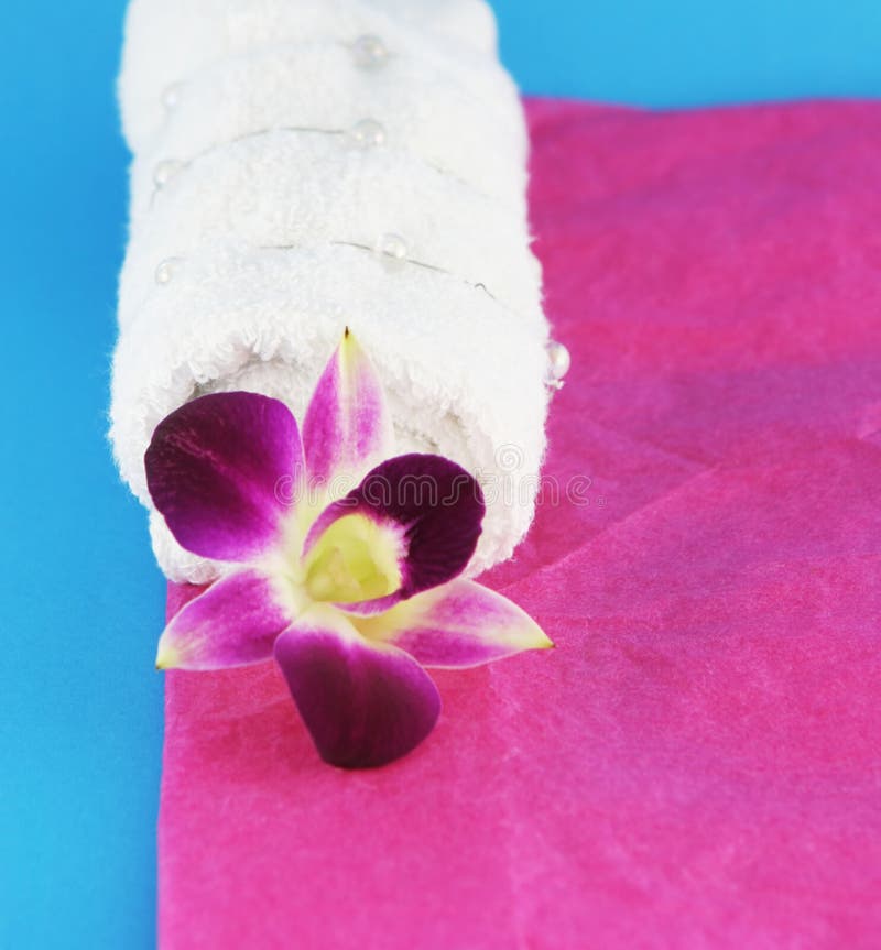 Orquídea y toalla blanca fotografía de archivo libre de regalías Orquídea y toalla blanca fotografía de archivo libre de regalías