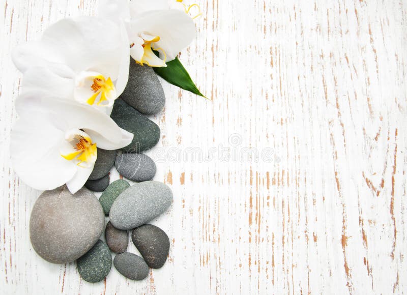 Orquídeas con las piedras del masaje imagen de archivo Orquídeas con las piedras del masaje imagen de archivo