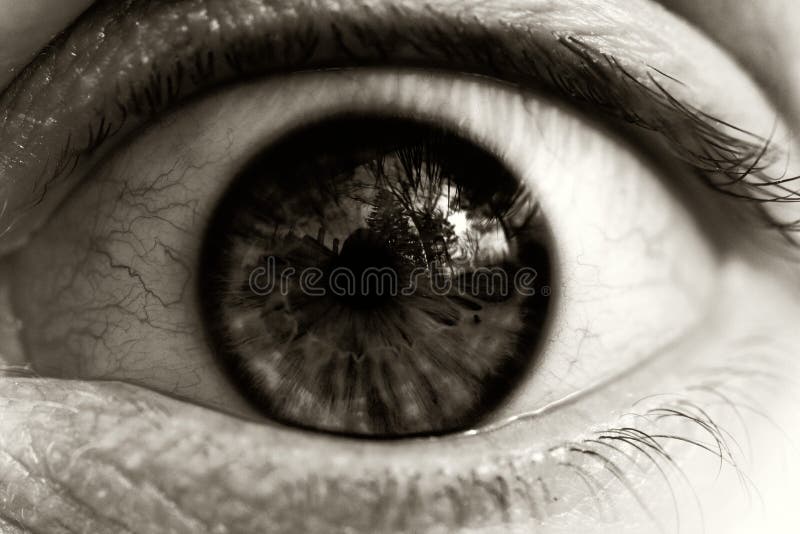 Image of an eye expressing fear, horror. Processed for high contrast to heighten mood. Image of an eye expressing fear, horror. Processed for high contrast to heighten mood.