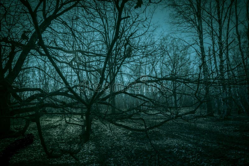 Orrore denso di una foresta spaventosamente oscura paesaggio notturno spaventoso con rami d'albero goffi sullo sfondo della luce