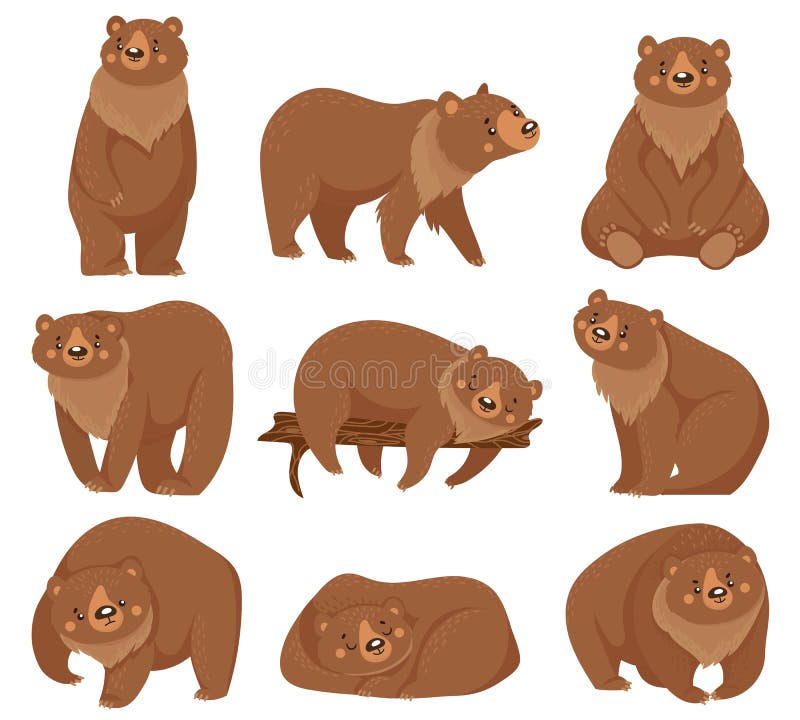 Orso bruno del fumetto Orsi grigii, animali predatori della foresta selvaggia della natura ed illustrazione di seduta di vettore