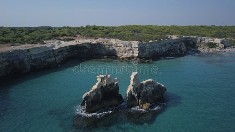 Orso del ` del dell di Torre due sorelle fotografia stock Orso del ` del dell di Torre due sorelle fotografia stock