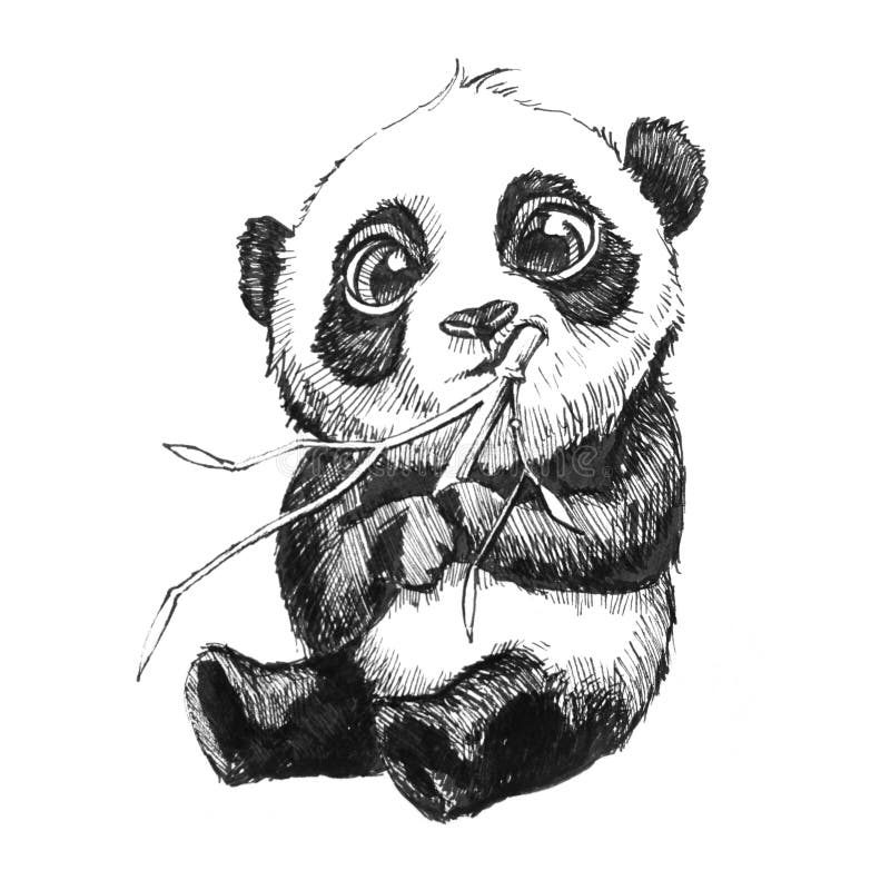 Orso di panda che mangia illustrazione disegnata a mano di bambù royalty illustrazione gratis Orso di panda che mangia illustrazione disegnata a mano di bambù royalty illustrazione gratis