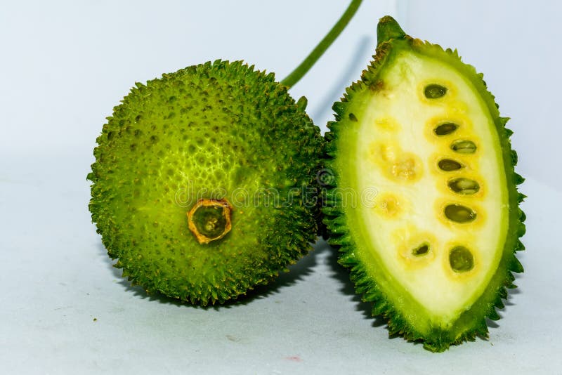 Ortaggio da frutto amaro verde coperto di spine dello Sri Lanka di verde della zucca su fondo bianco fotografia stock libera da diritti Ortaggio da frutto amaro verde coperto di spine dello Sri Lanka di verde della zucca su fondo bianco fotografia stock libera da diritti