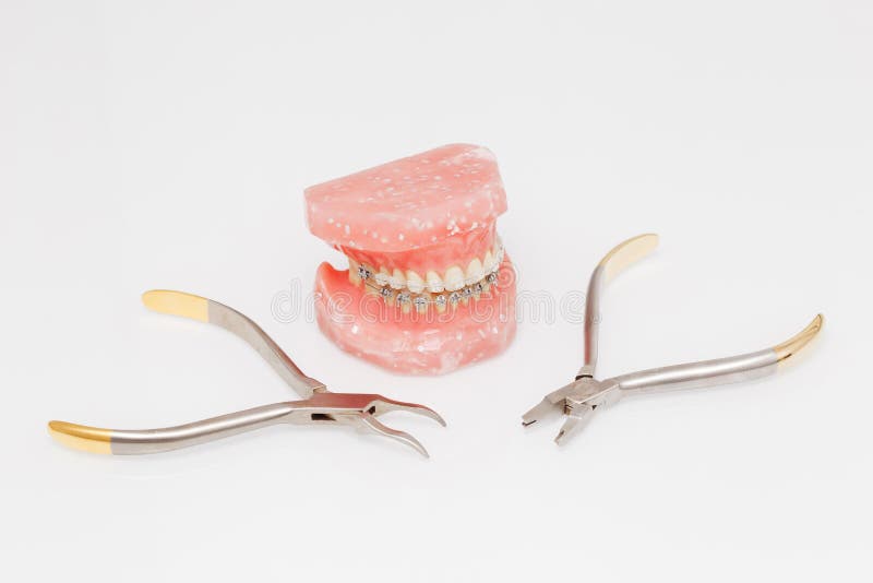 Orthodontic Model and Set of Medical Metal Orthodontic Tools Stock