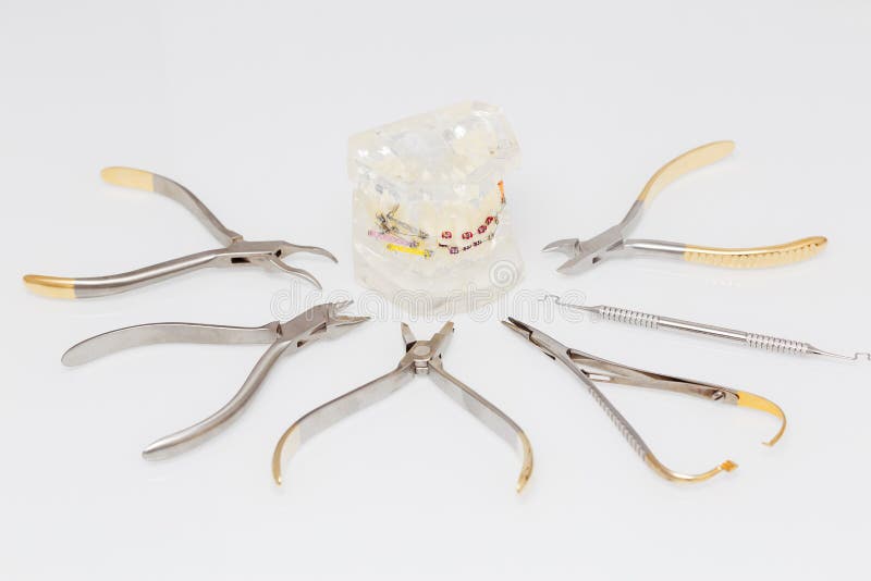 Orthodontic Model and Set of Medical Metal Orthodontic Tools Stock