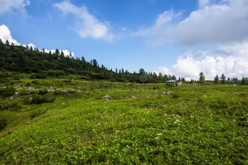 alpine refuge at Mount Ortigara, theater of the First World War, among green fields and grazing meadows on the atypical Asiago plateau Vicenza Veneto Italy. alpine refuge at Mount Ortigara, theater of the First World War, among green fields and grazing meadows on the atypical Asiago plateau Vicenza Veneto Italy