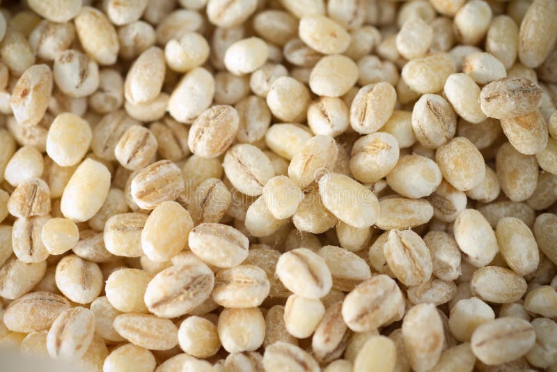 Orzo fotografia stock. Immagine di cereale, seme, perla 13599246
