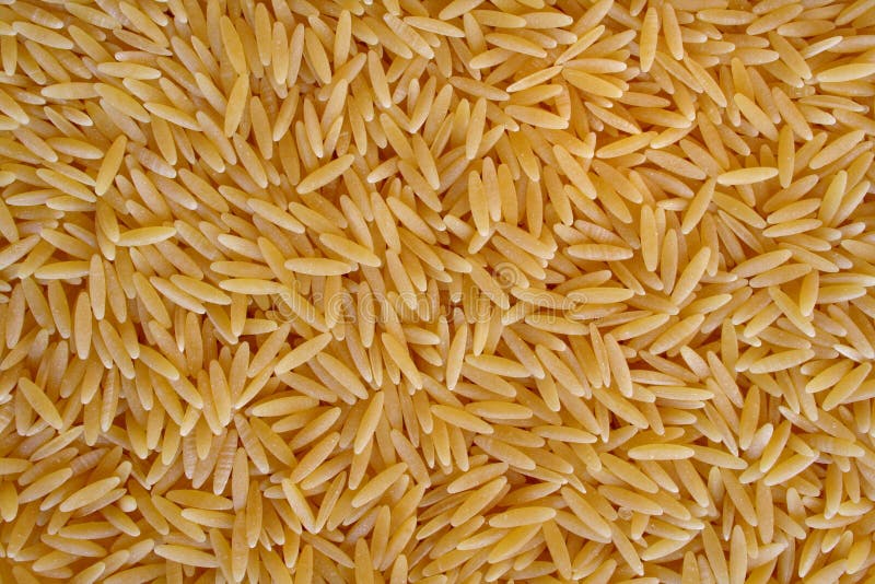 orzo pasta orzo pasta