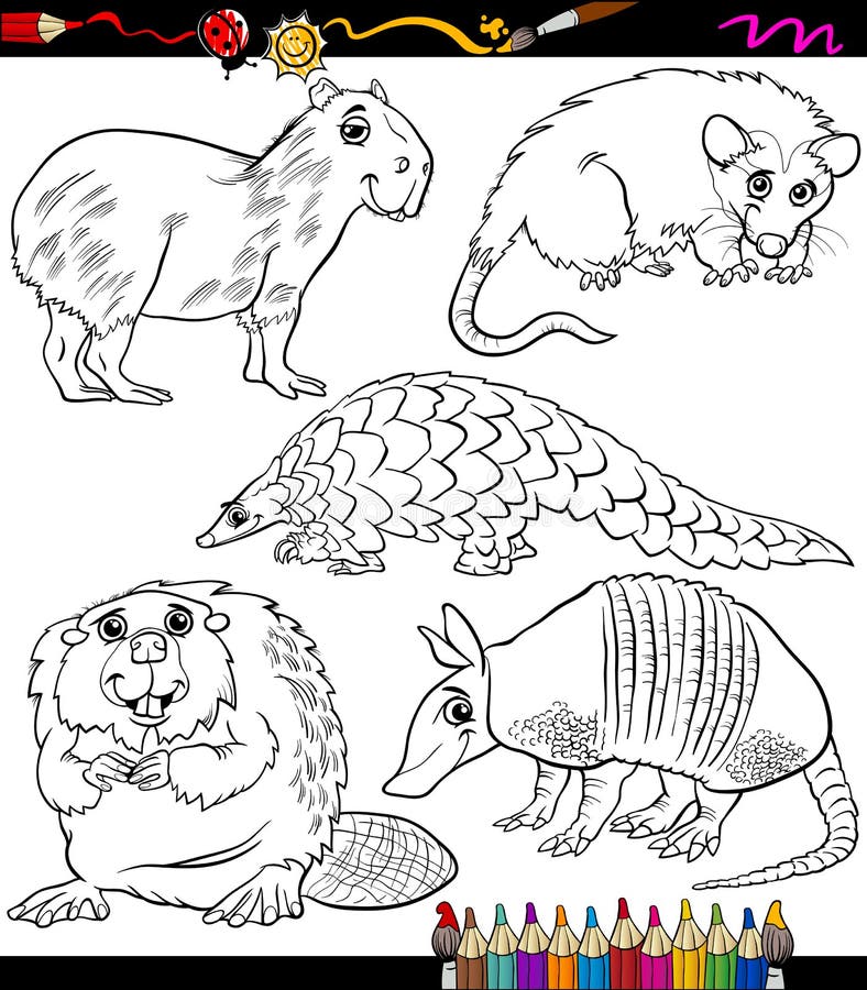 Os Gatos Ajustaram O Livro Para Colorir Dos Desenhos Animados