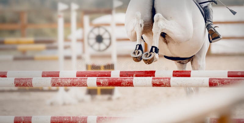 Os Cascos De Pá De Um Cavalo Sobre Um Obstáculo. O Cavalo Supera