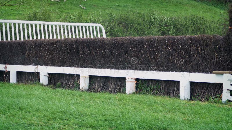 Saltando, Cavalo, Pulando, Animal, Segurança, Animais Saltit