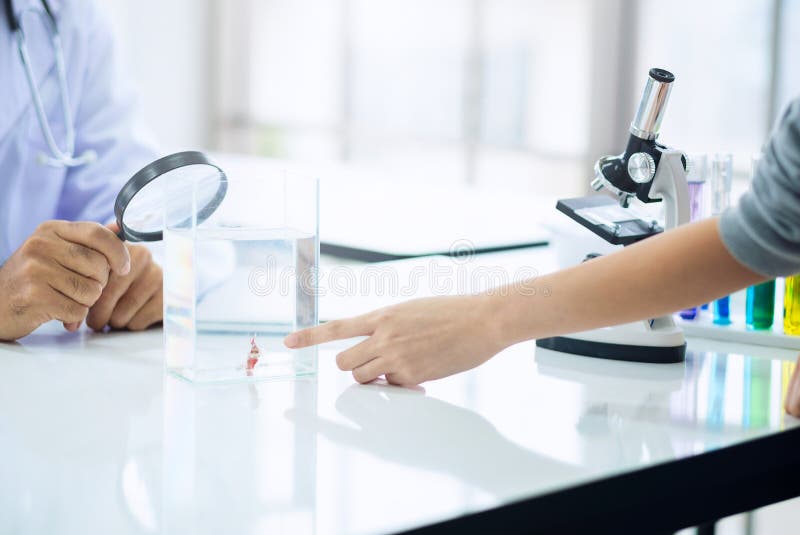 Os cientistas médicos dos pesquisadores dos doutores e do sócio olham o bi dos peixes imagem de stock Os cientistas médicos dos pesquisadores dos doutores e do sócio olham o bi dos peixes imagem de stock