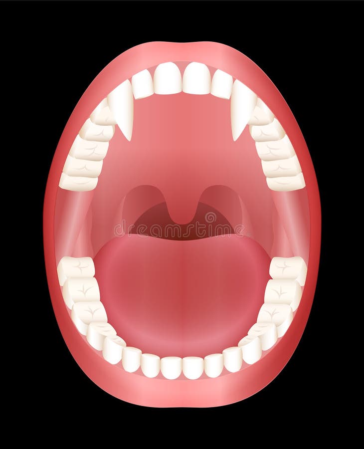 Ilustração Da Boca Dos Dentes Do Vampiro Ilustração Stock - Ilustração de  beleza, dente: 105008577