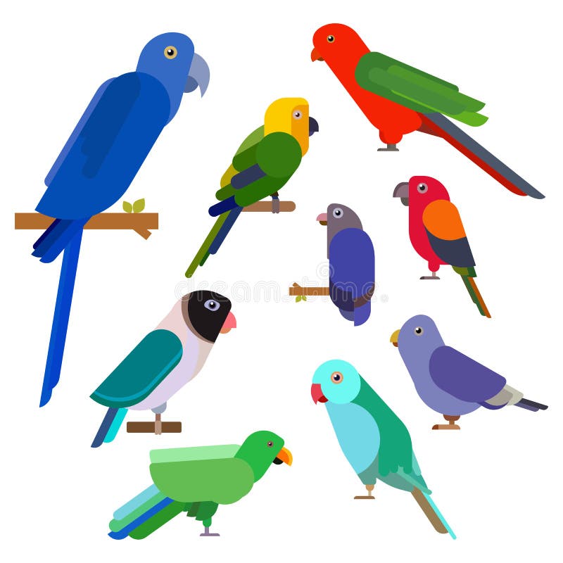 Os desenhos animados repetem mecanicamente a coleção Pássaros do animal selvagem do papagaio ajustados Pássaros tropicais do jard ilustração stock Os desenhos animados repetem mecanicamente a coleção Pássaros do animal selvagem do papagaio ajustados Pássaros tropicais do jard ilustração stock