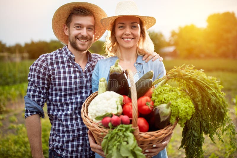 Os fazendeiros agradáveis acoplam o levantamento com a cesta com vegetais imagens de stock Os fazendeiros agradáveis acoplam o levantamento com a cesta com vegetais imagens de stock