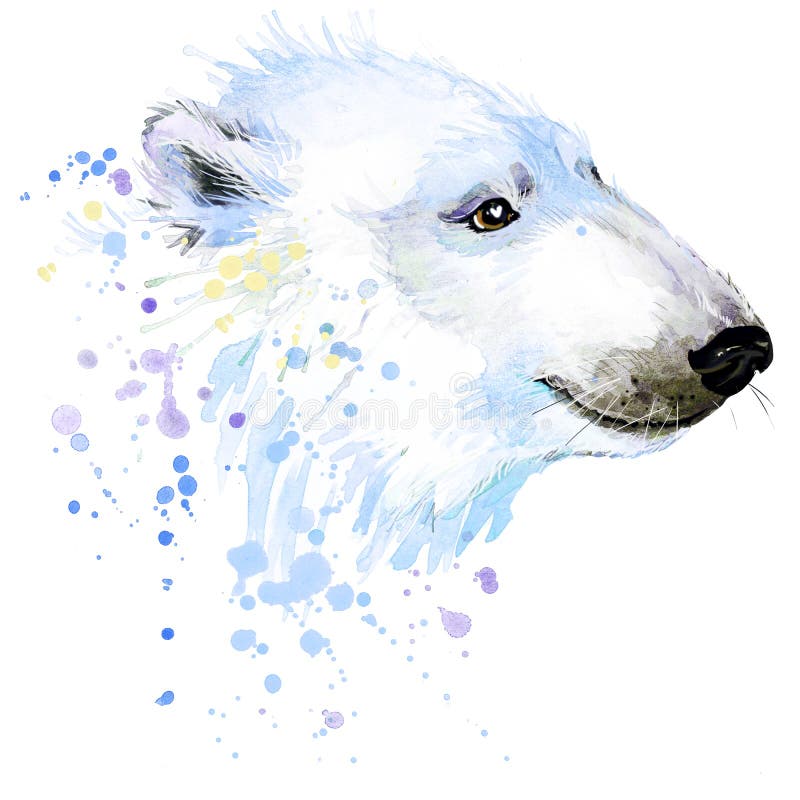 Os gráficos do t-shirt do urso polar, ilustração do urso polar com aquarela do respingo textured o fundo ilustração stock Os gráficos do t-shirt do urso polar, ilustração do urso polar com aquarela do respingo textured o fundo ilustração stock