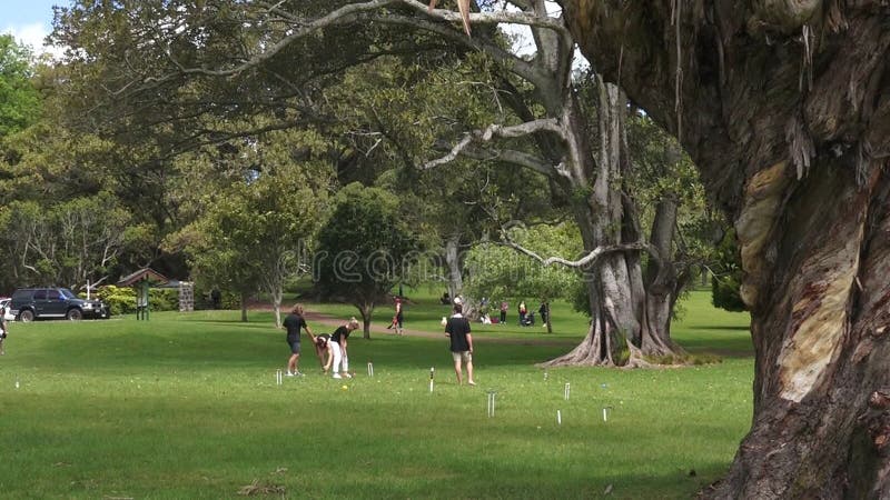 Os jovens jogam o cróquete no parque Auckland Nova Zelândia de Cornualha