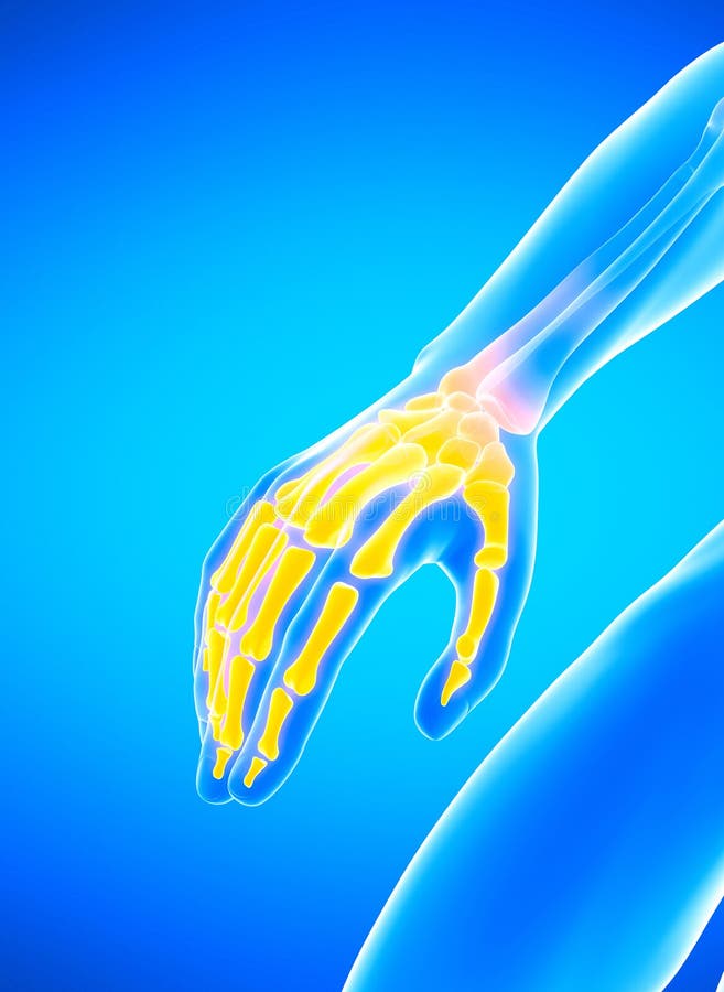 Os ossos da mão ilustração royalty free