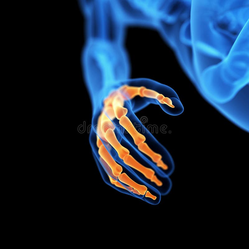 Os ossos de mão ilustração royalty free