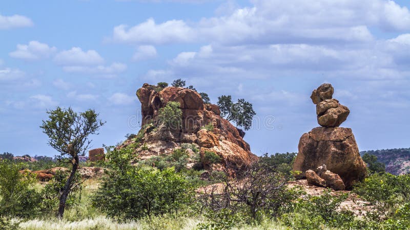 Os pedregulhos balançam no parque nacional de Mapungubwe, África do Sul fotos de stock Os pedregulhos balançam no parque nacional de Mapungubwe, África do Sul fotos de stock