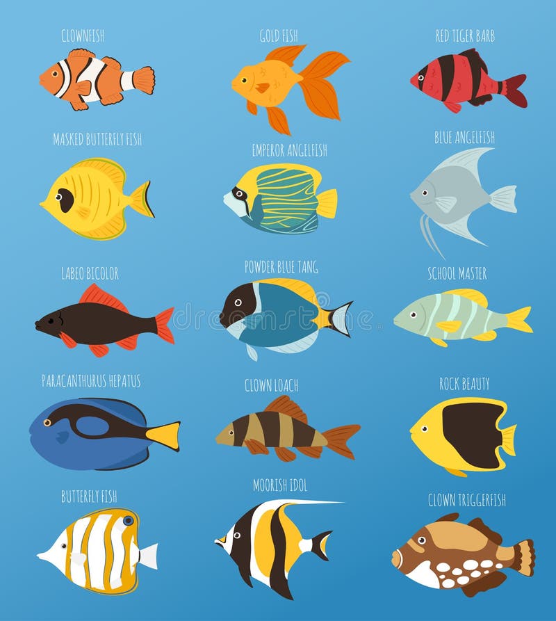 Os peixes tropicais exóticos competem a ilustração lisa do vetor da natureza aquática subaquática diferente da tensão da espécie ilustração royalty free Os peixes tropicais exóticos competem a ilustração lisa do vetor da natureza aquática subaquática diferente da tensão da espécie ilustração royalty free