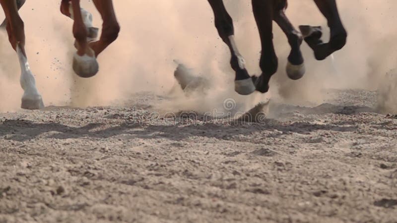 Os pés dos cavalos na pista de corrida