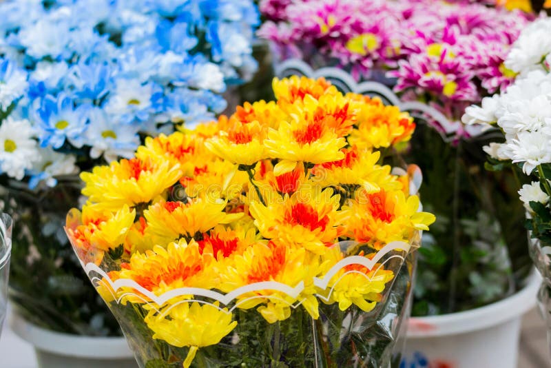 Os ramalhetes de crisântemos multi-coloridos são vendidos em um mercado de rua Flores amarelas, azuis, vermelhas, roxas foto de stock royalty free Os ramalhetes de crisântemos multi-coloridos são vendidos em um mercado de rua Flores amarelas, azuis, vermelhas, roxas foto de stock royalty free