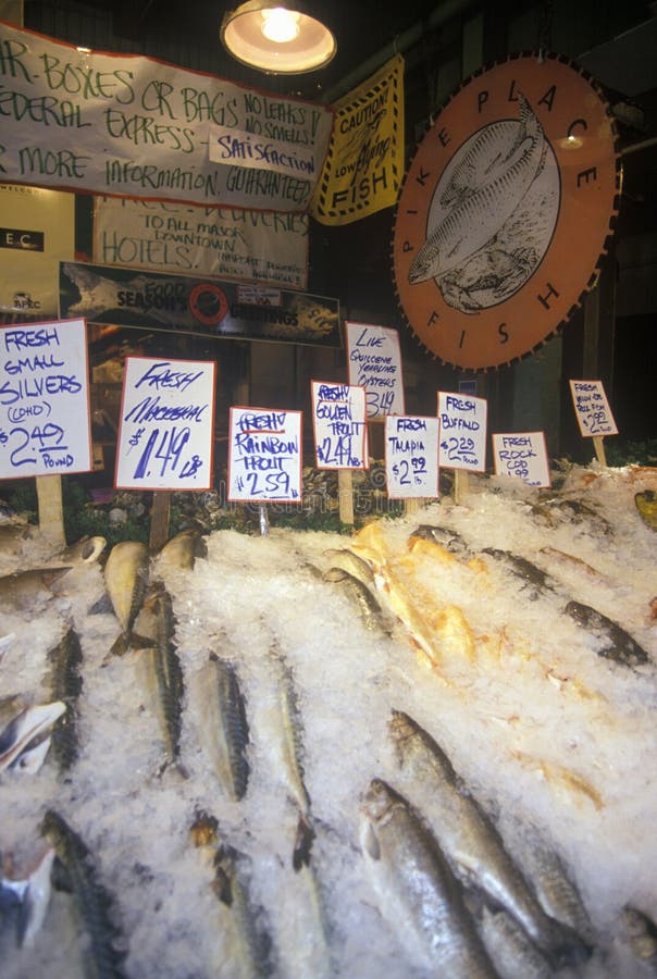 Os salmões estão no mercado público dos fazendeiros do lugar de Pike, Seattle, WA imagens de stock Os salmões estão no mercado público dos fazendeiros do lugar de Pike, Seattle, WA imagens de stock