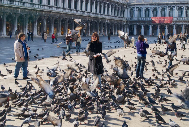 Os turistas alimentam pombos na praça San Marco em Veneza, Itália foto de stock Os turistas alimentam pombos na praça San Marco em Veneza, Itália foto de stock