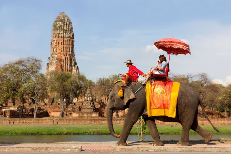 Os turistas tomam um passeio do elefante em torno do local histórico em Wat Phra Ram, em Ayutthaya, Tailândia imagem de stock Os turistas tomam um passeio do elefante em torno do local histórico em Wat Phra Ram, em Ayutthaya, Tailândia imagem de stock