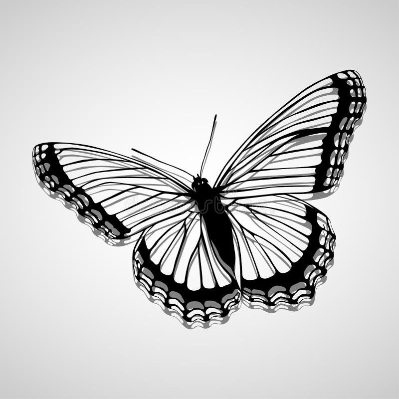 Os ícones da borboleta ajustaram-se grande para todo o uso Vetor eps10 ilustração do vetor Os ícones da borboleta ajustaram-se grande para todo o uso Vetor eps10 ilustração do vetor