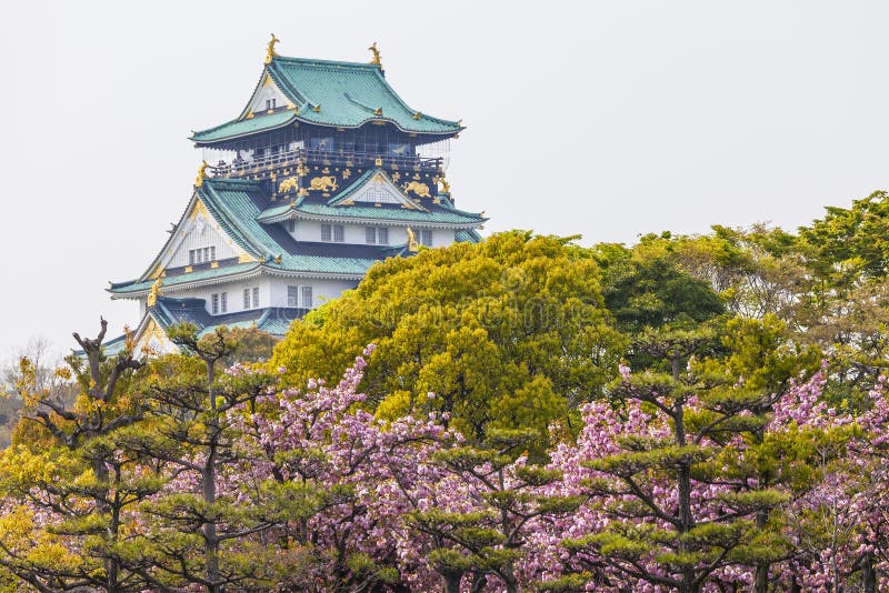 Osaka Castle i Japan under den körsbärsröda blomningen arkivfoto Osaka Castle i Japan under den körsbärsröda blomningen arkivfoto