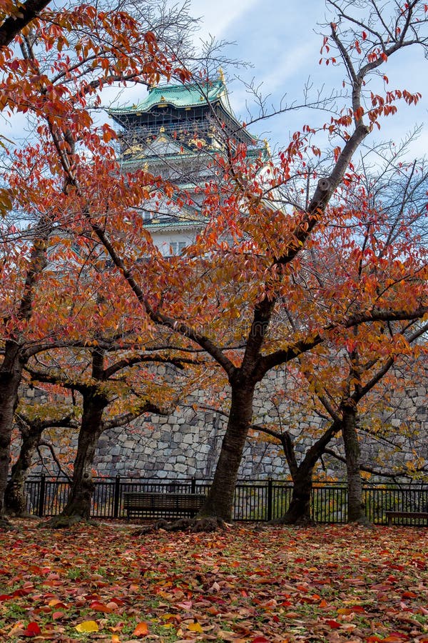 Osaka castle tower in japan, in Autumn