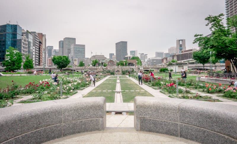 Osaka Nakanoshima Rose Garden near Osaka City hall