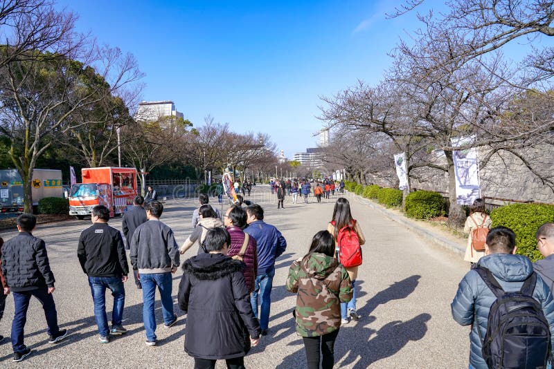 Osaka, Japonia - 4 Mar 2018: Japończyk, turyści, podróżnicy chodził wokoło Osaka kasztelu parka w Mar 2018 z suchym drzewem wokoł obraz stock Osaka, Japonia - 4 Mar 2018: Japończyk, turyści, podróżnicy chodził wokoło Osaka kasztelu parka w Mar 2018 z suchym drzewem wokoł obraz stock