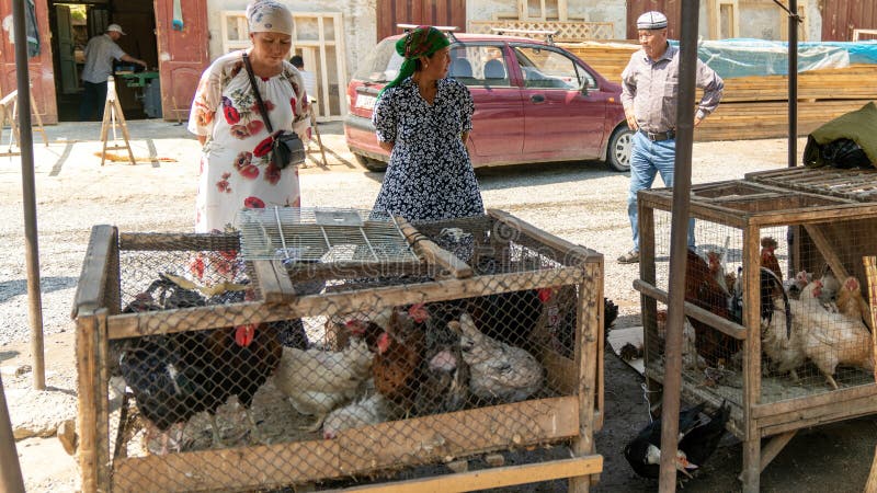 463 Live Poultry Market Stock Photos - Free & Royalty-Free Stock