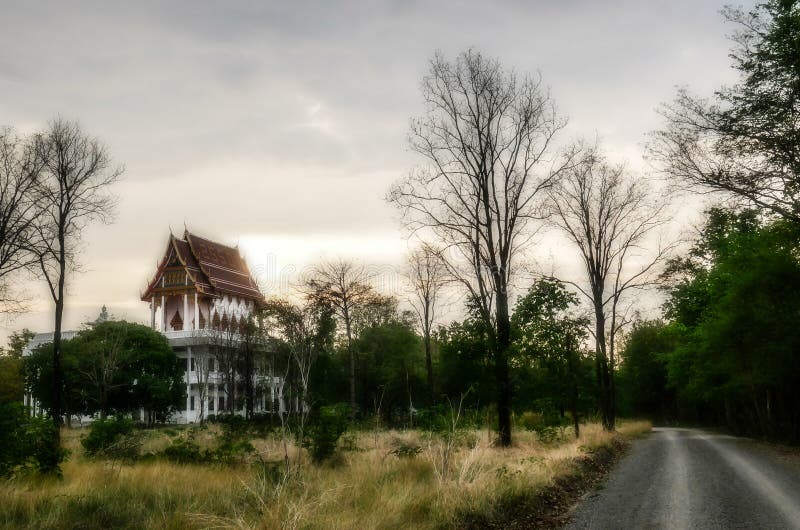 Oskarpt och läskigt landskap med den buddistiska templet, vägen och skogen på solnedgången arkivfoto Oskarpt och läskigt landskap med den buddistiska templet, vägen och skogen på solnedgången arkivfoto