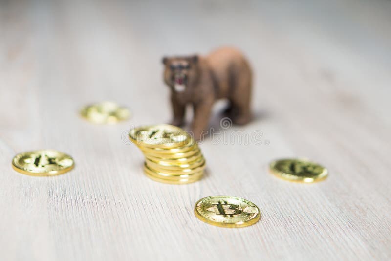 Oso con el foco de Bitcoin Cryptocurrency del oro en monedas Concepto financiero de Wall Street del mercado bajista foto de archivo Oso con el foco de Bitcoin Cryptocurrency del oro en monedas Concepto financiero de Wall Street del mercado bajista foto de archivo