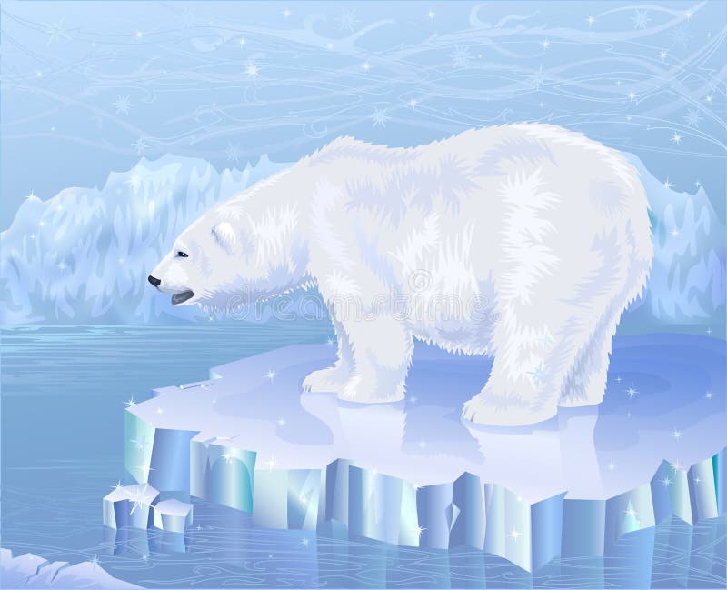 Oso polar ilustración del vector Oso polar ilustración del vector