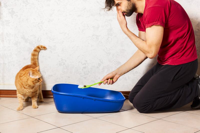 Adult person`s hand removing and cleaning cat litter box from clumps of cat urine and feces. Adult person`s hand removing and cleaning cat litter box from clumps of cat urine and feces.