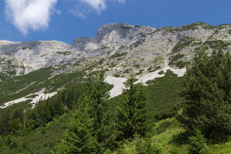 Osservi alla montagna della testa di cani L'Austria, Tirol immagine stock Osservi alla montagna della testa di cani L'Austria, Tirol immagine stock