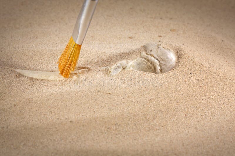 Ossos da arqueologia e do forense na areia
