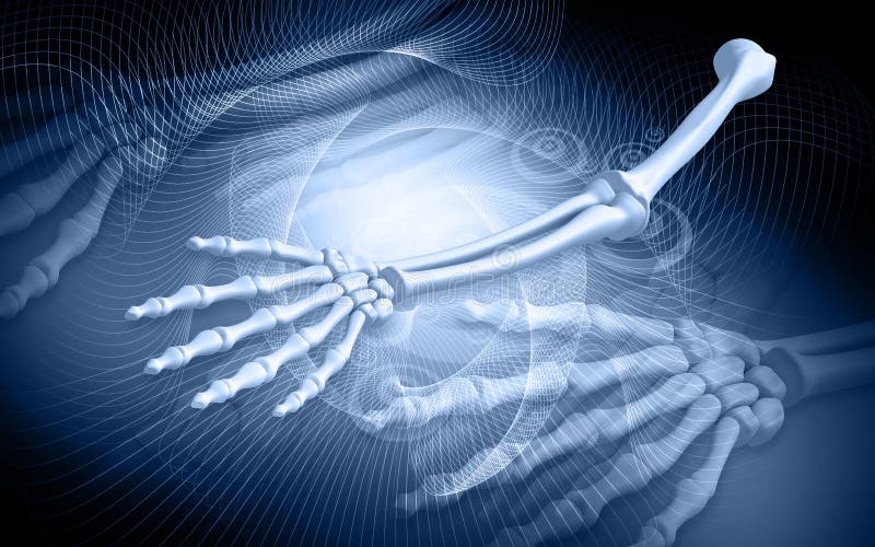 Ossos da mão humana ilustração royalty free