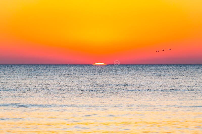 Ostatnie sekundy niesamowitego zachodu słońca Trzy ptaki lecące nad horyzontem, a nad nim ukazuje się trochę gwiazdy słonecznej