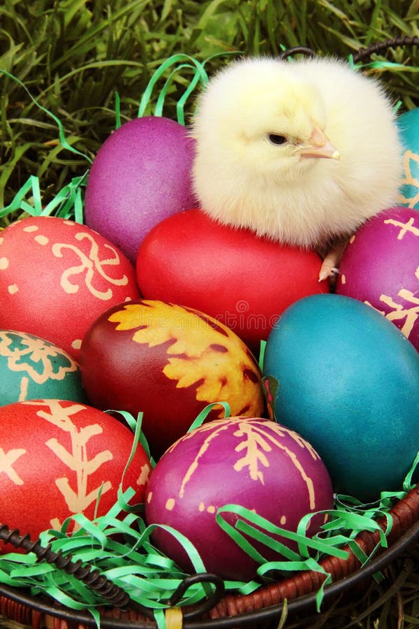 Ostereier mit einem kleinen Huhn lizenzfreie stockfotos Ostereier mit einem kleinen Huhn lizenzfreie stockfotos