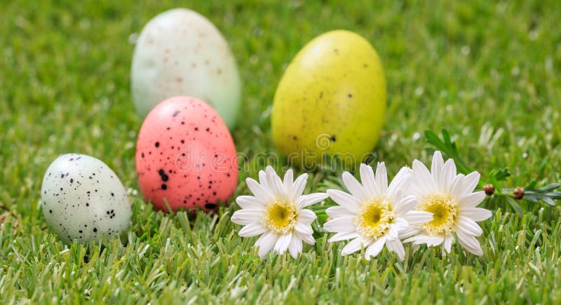 Ostereier und weiße Gänseblümchen auf grünem Gras, Abschluss herauf Ansicht lizenzfreie stockbilder Ostereier und weiße Gänseblümchen auf grünem Gras, Abschluss herauf Ansicht lizenzfreie stockbilder