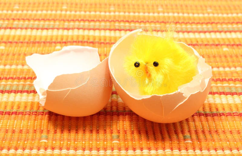 Ostern-Huhn Mit Defekter Eierschale, Huhn Oder Das Ei Stockbild - Bild