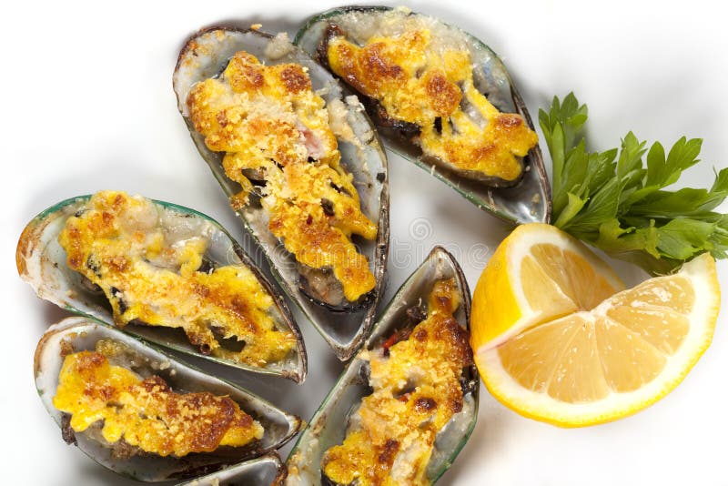 Musslor under ost royaltyfri fotografi